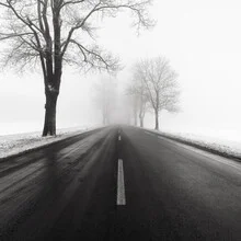 Photo art by Thomas Wegner: winter avenue in fog and snow