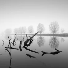 Photo art by Thomas Wegner: mystical forest in fog with reflecting trees