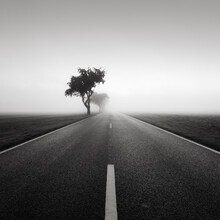 Thomas Wegner, Road to nowhere 2 - Germany, Europe)