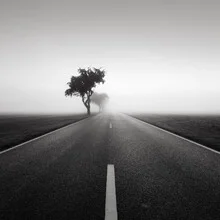 Road to nowhere 2 - Fineart photography by Thomas Wegner