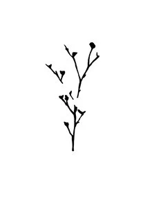 Minimalistic illustration of a branch in Scandinavian style
