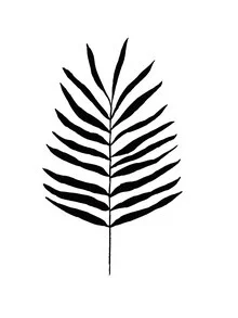 Illustration by Christina Wolff: minimalist fern in soft green tones