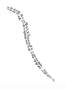 Wall art by Christina Wolff: minimalist fern in soft green tones