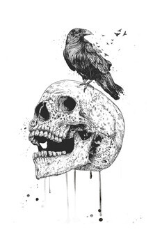 Balazs Solti, New skull (Hungary, Europe)