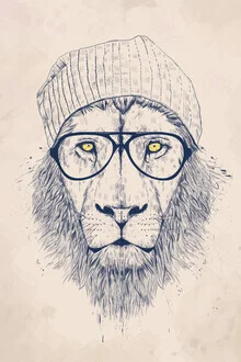 Wall art of a cool lion wearing glasses and a beanie, playful and humorous.