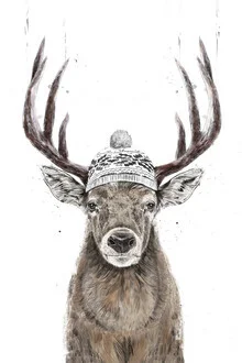 Wall art by Balazs Solti: playful winter scene with a fawn wearing a beanie