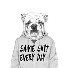Wall art by Balazs Solti: humorous drawing of a bulldog with funny text.