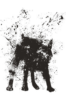 Balazs Solti, Wet dog (Hungary, Europe)