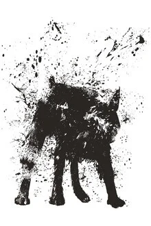 Wall art: a cheerful dog shaking off water.