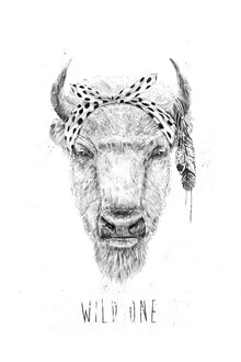 Wall art by Balazs Solti: humorous drawing of a bison in black and white.