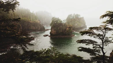 Photo art by Kevin Russ: Fog envelops the coast with trees and rocks