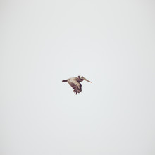 Kevin Russ, Solo Flight - United States, North America)
