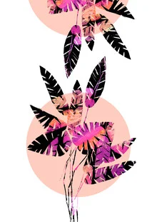 Illustration featuring pink leaves on a coral background