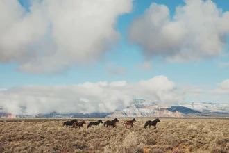 Photo art by Kevin Russ: Wild horses running through the desert under a cloudy sky.