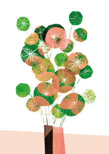 Pia Kolle, Pilea in der Vase (Deutschland, Europa)