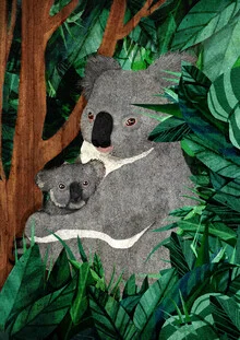 Wall art by Katherine Blower: cute koala resting on a tree surrounded by green leaves