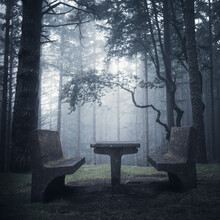 Sonja Lautner, Light in the Dark - Portugal, Europe)