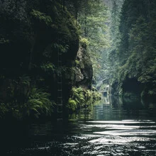 Photo art by Sonja Lautner: tranquil river scene in the jungle with a boat