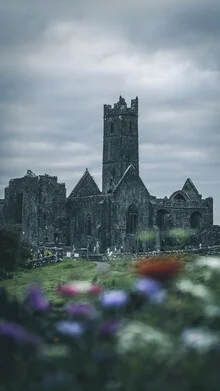Beautiful photo art by Sonja Lautner: flowers in the foreground before a dark abbey.