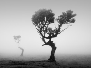 Sonja Lautner, Fogland - Portugal, Europe)