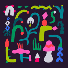 Aley Wild, Night Plants - Australien, Australien und Ozeanien)