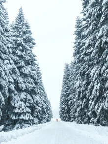 Person steht in einem verschneiten Wald, umgeben von frostigen Tannenbäumen.