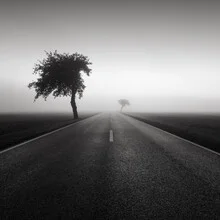 Photo art by Thomas Wegner: foggy road surrounded by trees in autumn