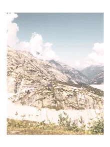 Photo art by Christina Wolff: flowers above Grimsel Lake with mountain view