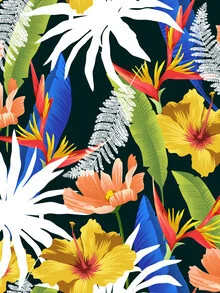 Illustration by Uma Gokhale: colorful tropical jungle scene with flowers.