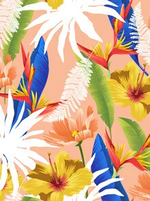 Colorful illustration featuring botanical elements, conveying a tropical vibe.