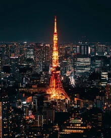 Photo art by Dimitri Luft: Tokyo Tower shines at night above the city.