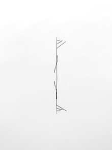 Holger Nimtz, minimalist beauty