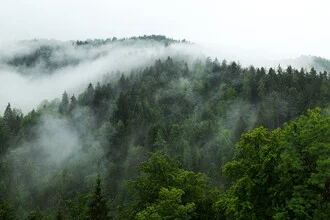 Fotokunst von Oliver Henze: Nebelverhangene Bergwälder in mystischer Stimmung