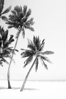 Kathrin Pienaar, Island