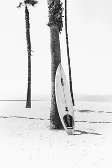 Black and white photo art: surfboard by palm trees on the beach, calm mood.