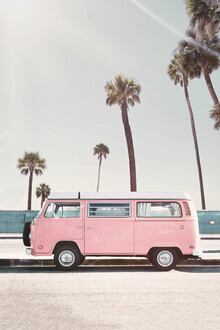 Kathrin Pienaar, Pink Van - Vereinigte Staaten, Nordamerika)