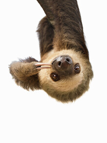 Kathrin Pienaar, Sloth