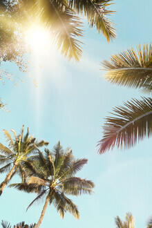 Kathrin Pienaar, Sun rays