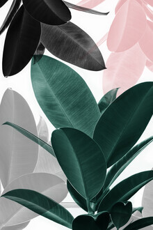 Kathrin Pienaar, Leaf Play
