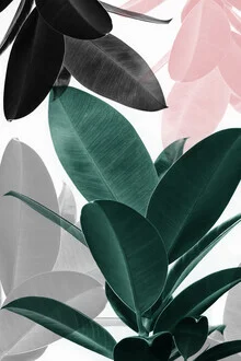 Leaf Play - Fineart photography by Kathrin Pienaar