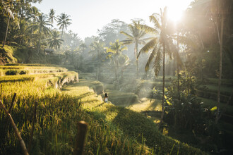 Leander Nardin, beautiful woman strolling through rice fields at sunrise