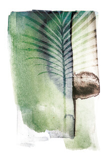 Shot By Clint, Jurassic Cycad