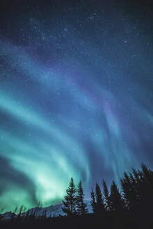 Photo art by Sebastian Worm: Northern Lights over a tranquil forest in Norway