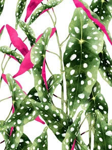 Happiness Is...Buying Plants - fotokunst von Uma Gokhale