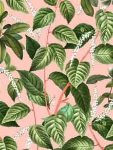 Uma Gokhale, How Lovely Is the Silence of Growing Things