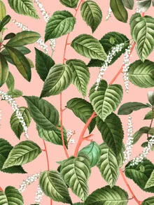 Illustration von Uma Gokhale: sanfte Pflanzenmotive in sanften Farben