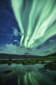 Sebastian Worm, Aurora