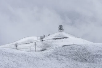 Schneebedeckte Hügellandschaft mit einer Linde, die eine ruhige Atmosphäre ausstrahlt.