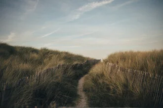 Photo art by Fabian Hönig: moody dune landscape at sunset