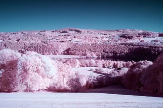 Fotokunst von Darius Ortmann: sanfte, pinkfarbene Landschaft mit blauen Akzenten